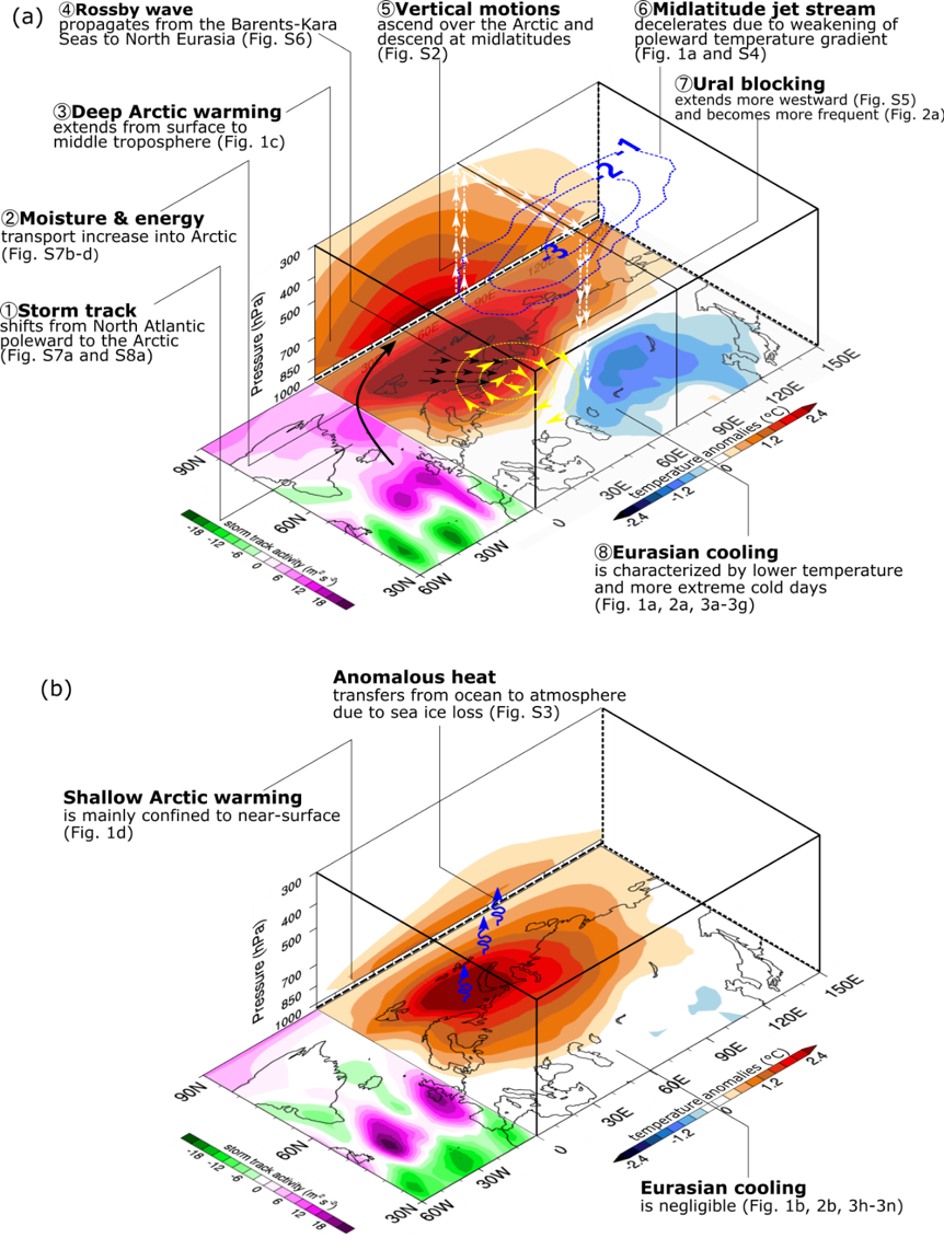 Arctic amplification