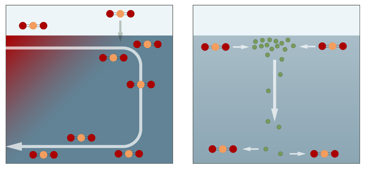 CO2-opptak