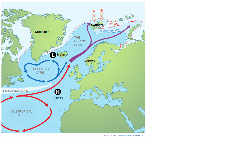 figure of ocean currents from the North Atlantic into the Svalbard area and the Barents Sea. Figure: Anne Britt Sandø