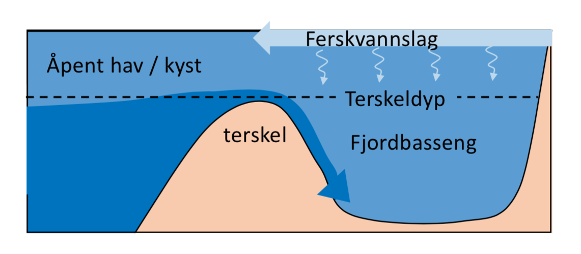 skisse over fjordterskel og tungt vatn som renn inn i fjordbassenget