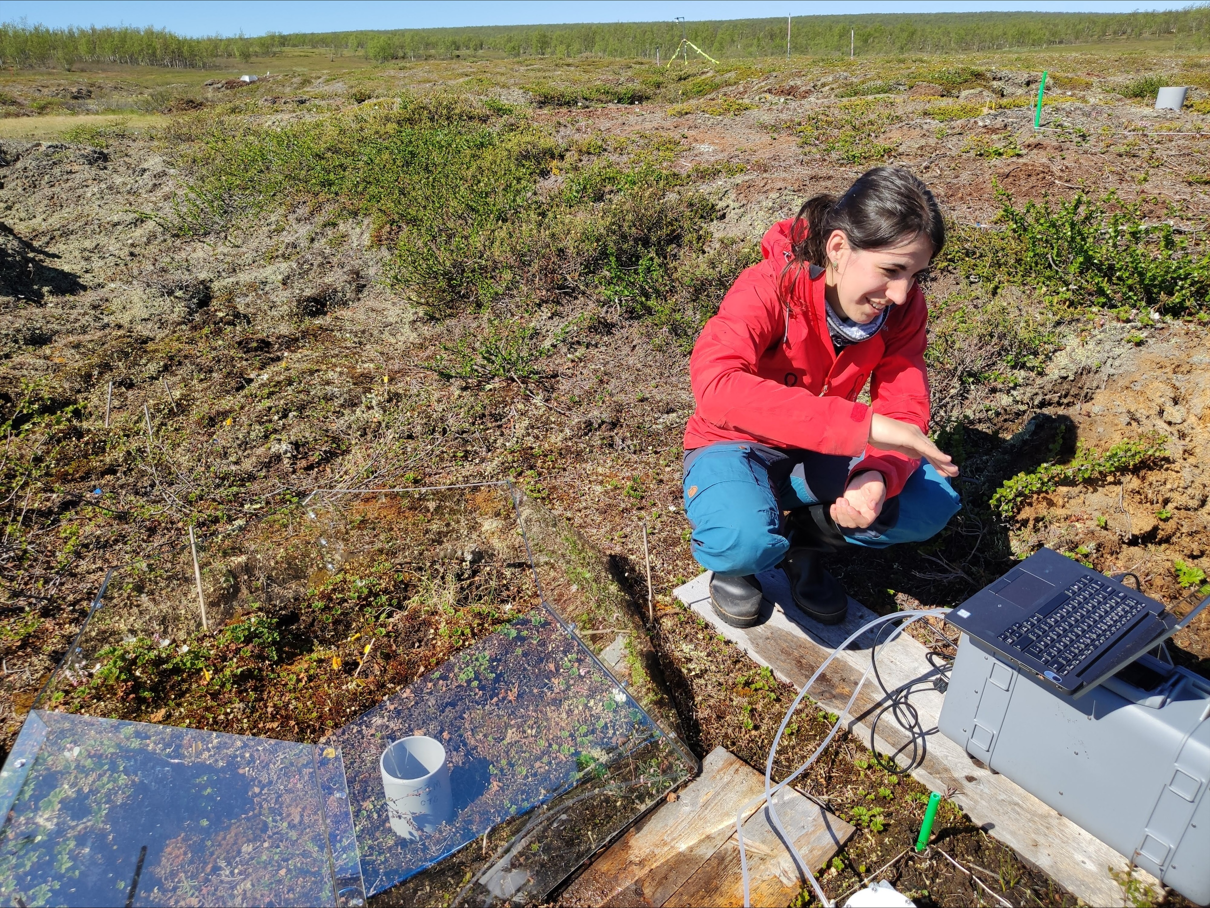 Researcher in field looking at computer and instruments