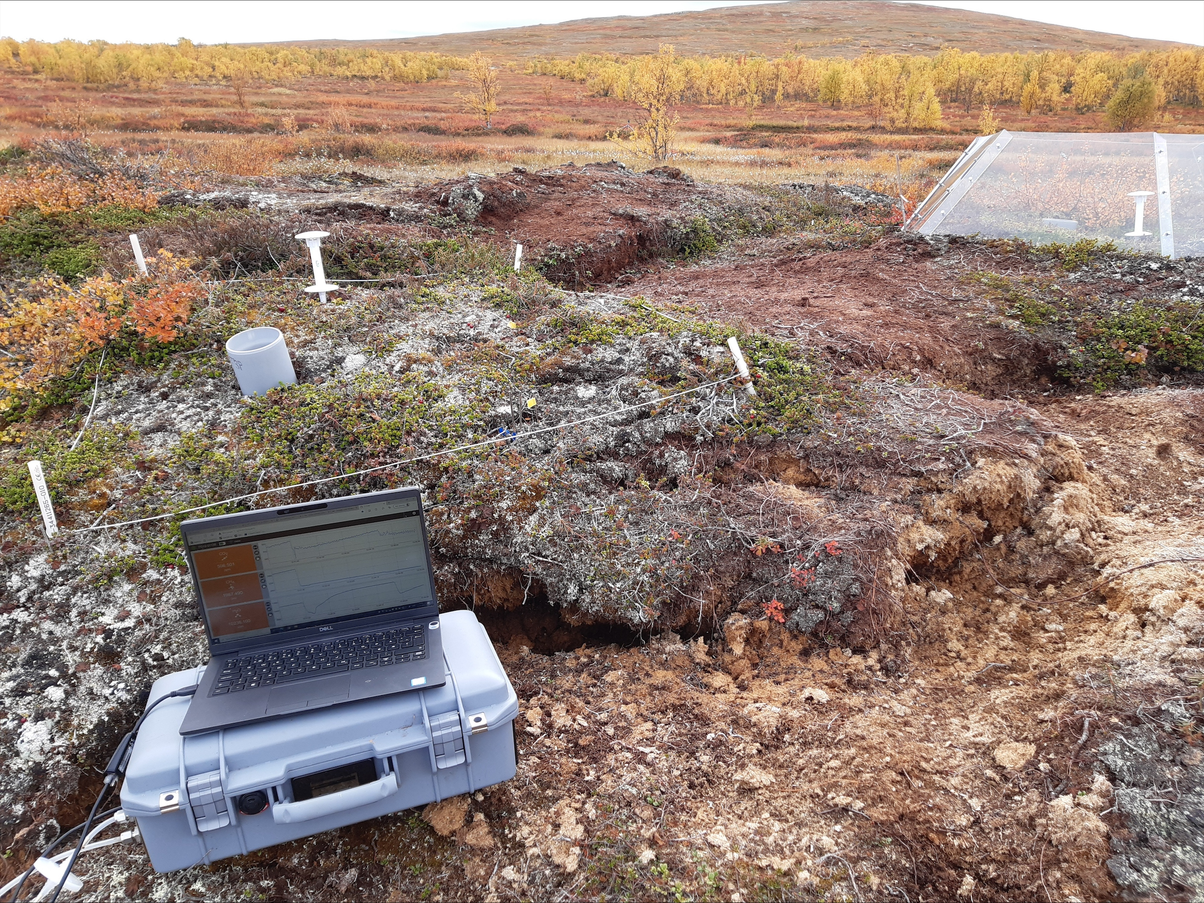 Open top chambers in field campaign 