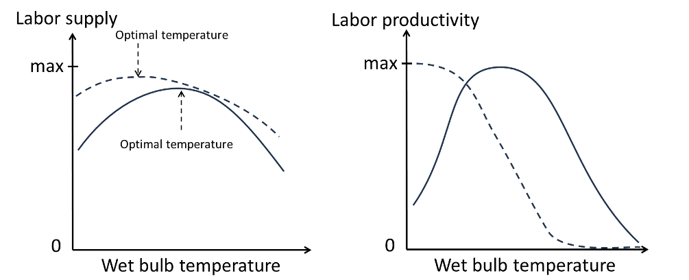 Skjematiske eksempler på hvordan arbeidstimer og arbeidsproduktivitet kan variere med varmestress (her gitt med den såkalte wet bulb globe temperaturen). Slike kurver vil være forskjellige for ulike typer arbeidskraft, ulike typer teknologi som brukes i arbeidslivet og ulike arbeidskulturer. Dette er eksemplifisert med de heltrukne og stiplede linjene.