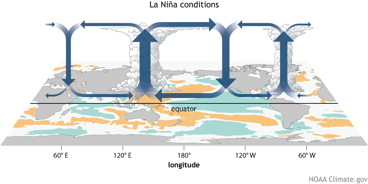 La niña Walker