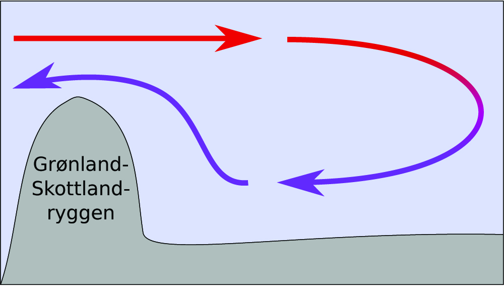 Varme overflatestrømmer (røde piler) og kalde dyphavsstrømmer (lilla piler) over Grønland-Skottland-ryggen (grønn stiplet linje). 