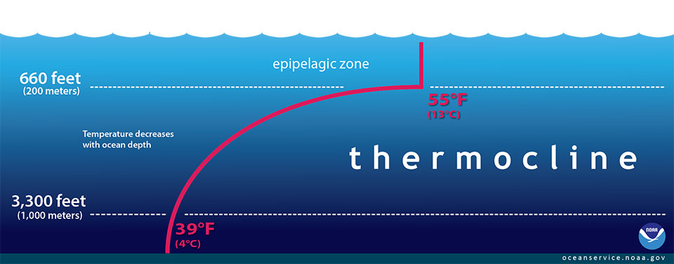 Et bilde som inneholder tekst, skjermbilde, Font, Plottdiagram

Automatisk generert beskrivelse